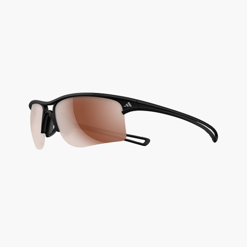 Raylor A404-6058, A405-6058 transparent grey, LST polarized silver